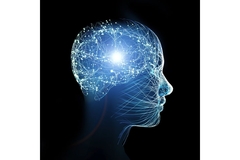 Graphic of a brain with neurons connecting in it.